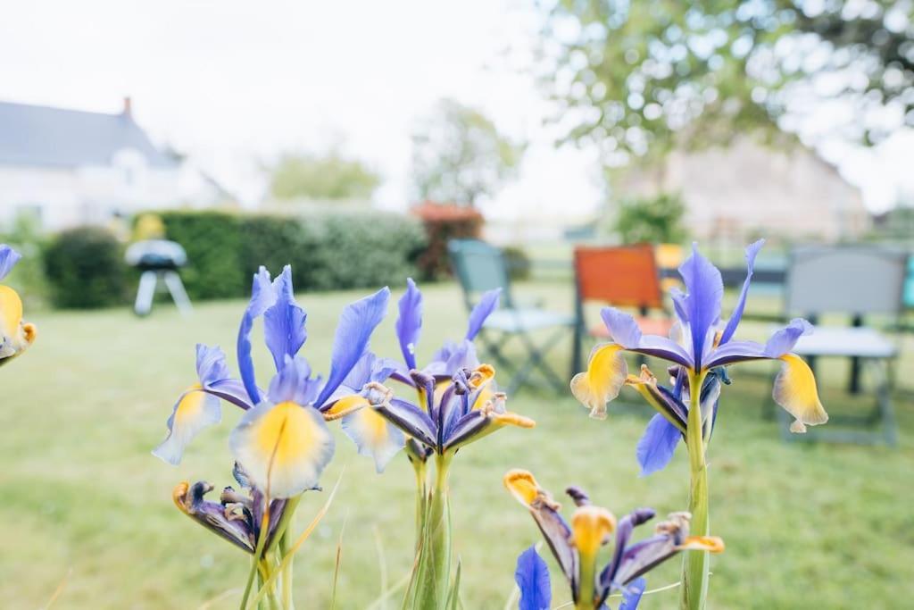 Le Beaumont • La Belle Campagne • La Plenitude Villa Deols ภายนอก รูปภาพ