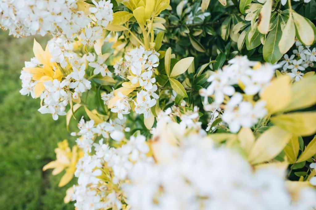 Le Beaumont • La Belle Campagne • La Plenitude Villa Deols ภายนอก รูปภาพ